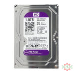 WD 1TB Surveillance Hard Disk