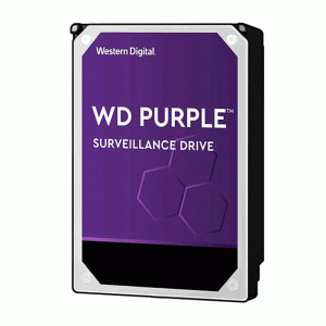 WD 1TB Surveillance Hard Disk