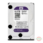 WD 8TB Surveillance Hard Disk